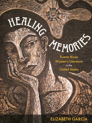 cover of Healing Memories : Puerto Rican Women's Literature in the United States.