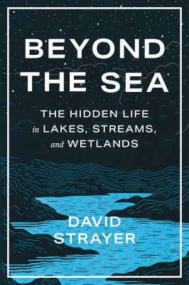 cover of Beyond the sea : the hidden life in lakes, streams, and wetlands 