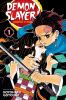 Demon Slayer Vol. 1 cover